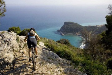 mountain bike